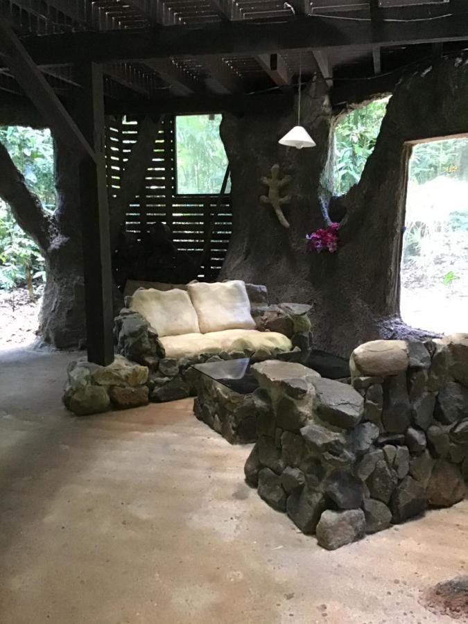 Rainforest Hideaway 케이프트리뷸레이션 외부 사진