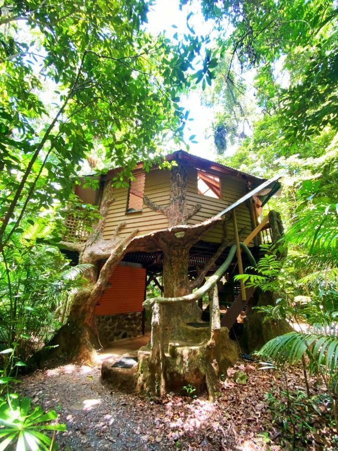 Rainforest Hideaway 케이프트리뷸레이션 외부 사진
