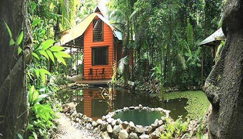 Rainforest Hideaway 케이프트리뷸레이션 객실 사진